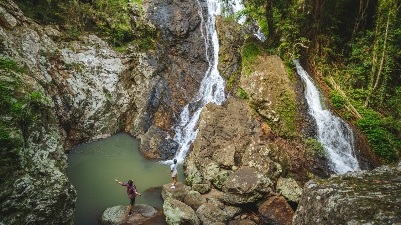 Kondalilla Falls at Kondalilla National Park, QLD Sunshine Coast. Picture: TEQ