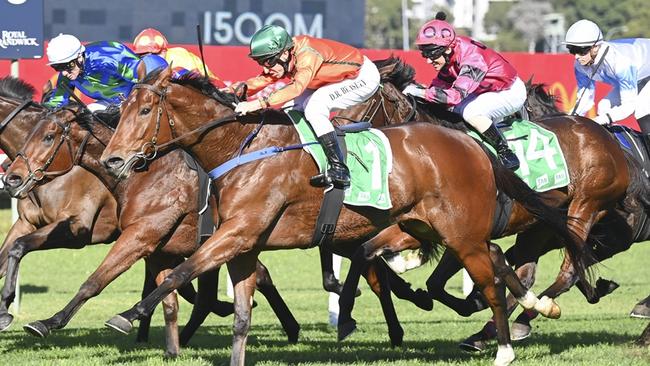 The Tim Donnelly-trained Cliff House can bounce back from a luckless SDRA Qualifier run and win the Albury Mile. Picture: Bradley Photos