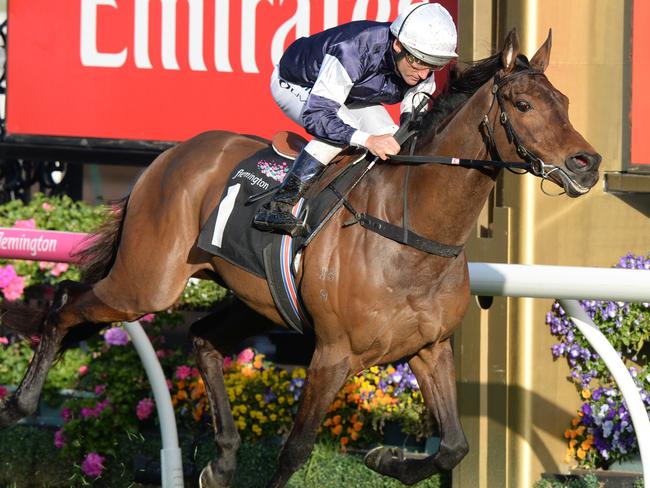 Almandin wins in the Japan Racing Association Trophy. Picture: AAP