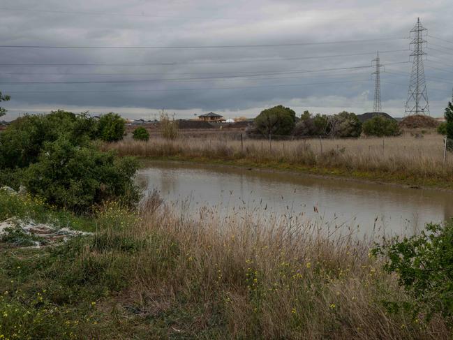 The dam where Luka died. Picture: Brad Fleet