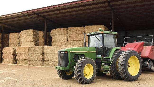 Big opportunity: Stocking up on vetch hay at the current relatively low prices will greatly benefit both lamb and dairy producers. Picture: Dannika Bonser