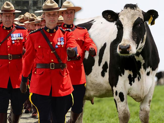 web rolay canadian mounted Aus farm