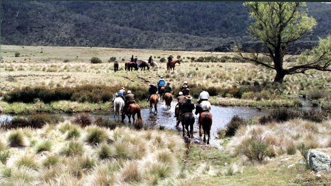 Horse riding is popular in NSW and Victoria’s alpine regions.