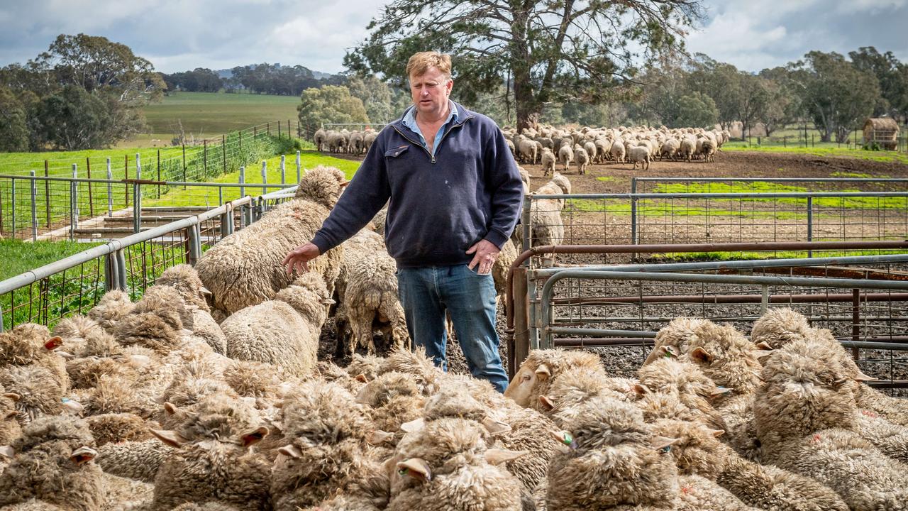 NSW will demand borders are reopened for farmers at the next National Cabinet meeting on Friday. Crop and merino sheep farmer Steven Start (pictured) cannot access his herd in NSW nor can he travel to WA to replenish his flock. Picture: Jake Nowakowski