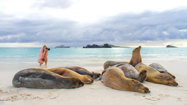 Ecuador has imposed quotas on the number of visitors to the Galapagos.