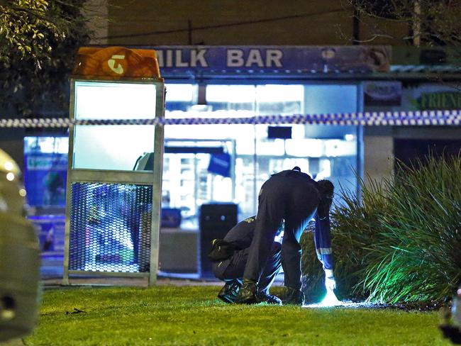 An evidence marker is placed near some shrubbery. Photo: Patrick Herve