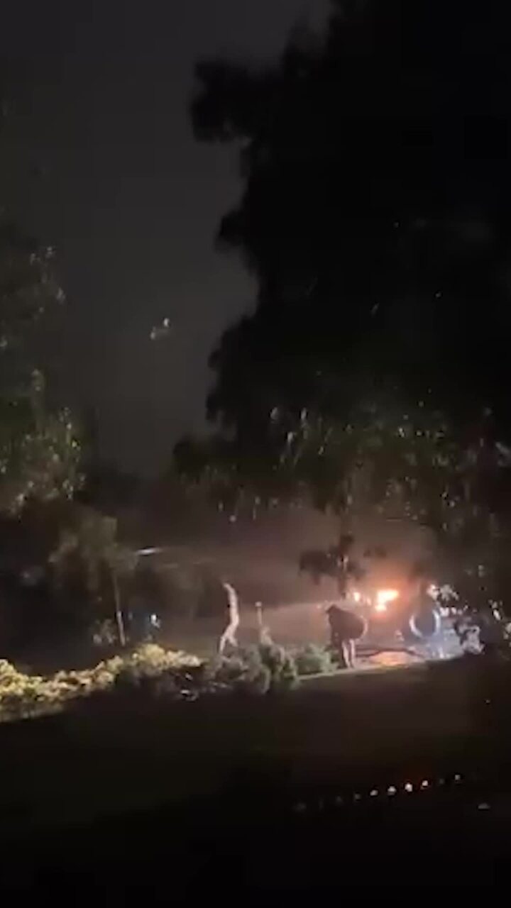 Car runs over downed tree on Anzac Ave