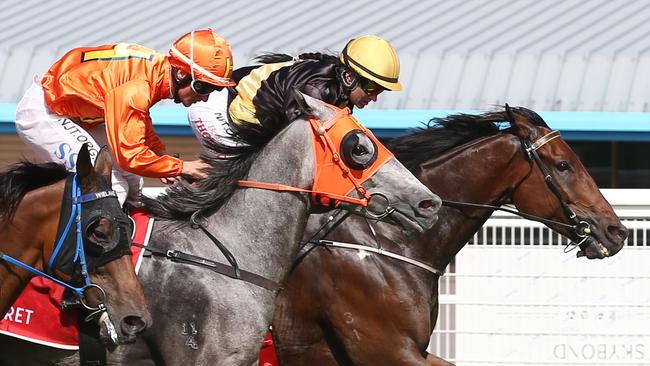 Barwon, ridden by Bonnie Thomson, wins Race 5 at Cannon Park, watched by only a handful of trainers. The general public are not permitted to attend horse races due to the government restrictions in place to reduce the spread of coronavirus. PICTURE: BRENDAN RADKE.