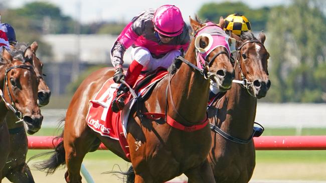 The 2020 Sandown Guineas winner Allibor will resume in different colours at Tuesday’s Bendigo meeting. Picture: Racing Photos