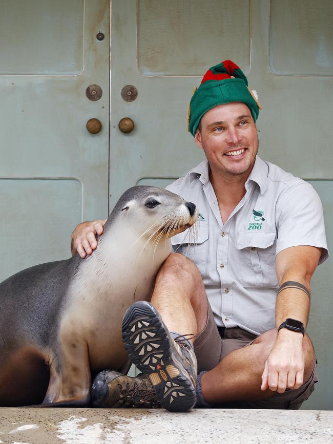 Taronga Zoo unit supervisor Brad McKenzie made sure Nana the Australian Sea Lion had a great Christmas. Picture: Sam Ruttyn