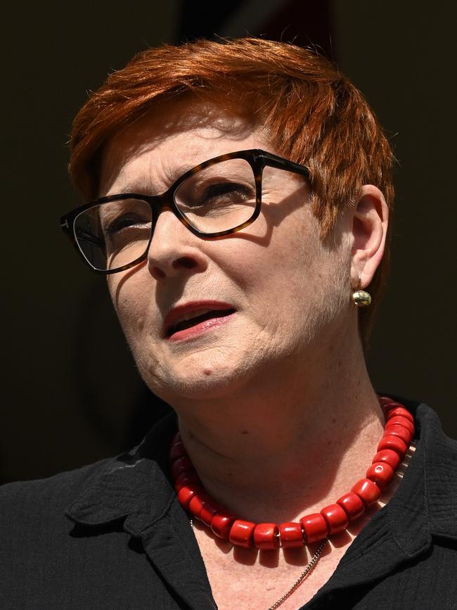 Safe: Senator Marise Payne. Picture: Flavio Brancaleone