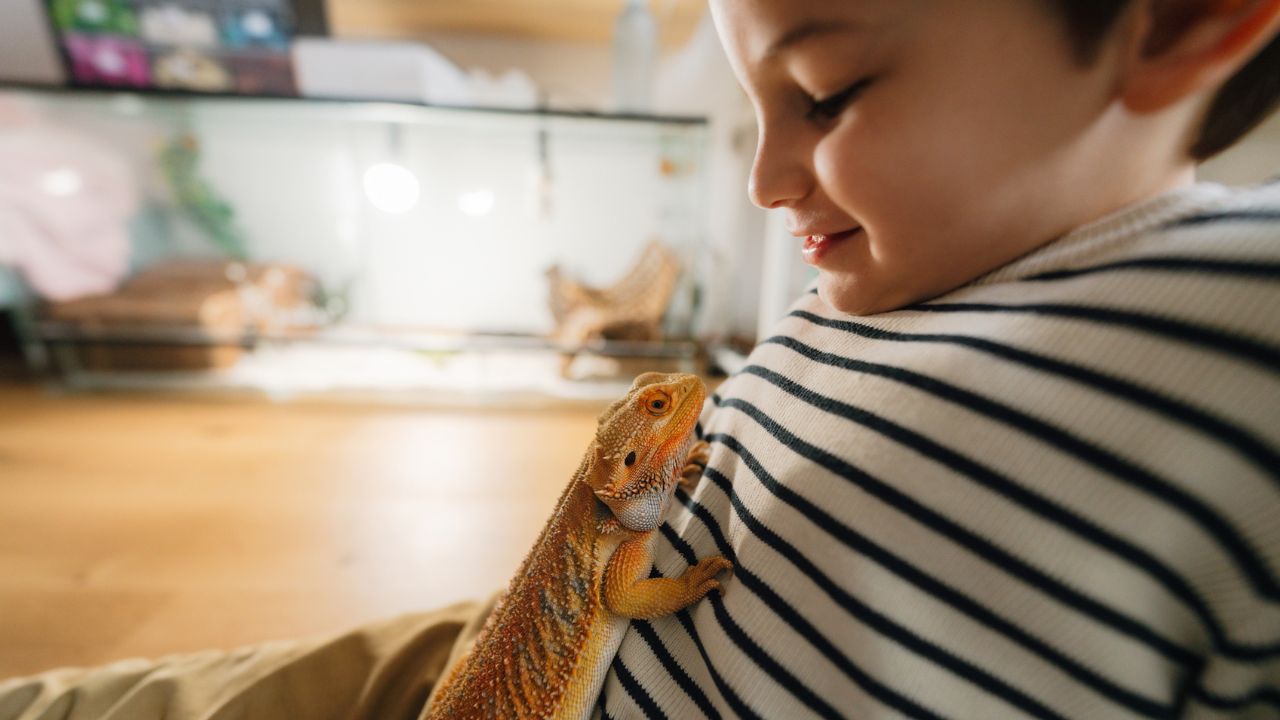 Unusual pets hot sale for kids