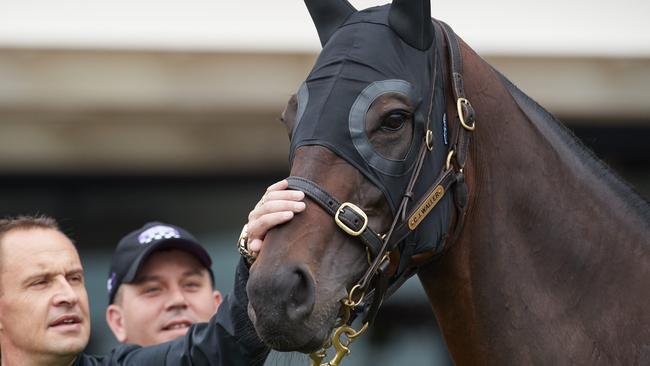 Champion horse Winx at Randwick earlier this year. Picture: David Swift.