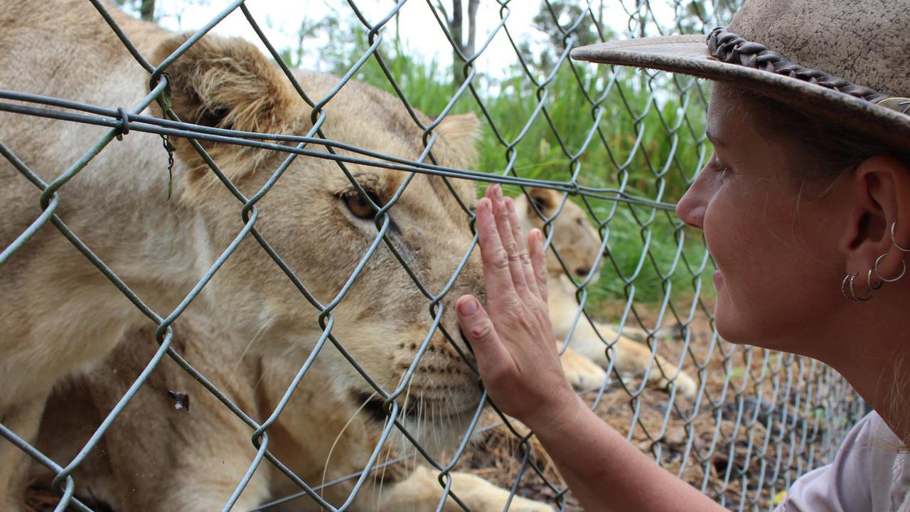 Jennifer Brown was mauled by two lions in their enclosure.