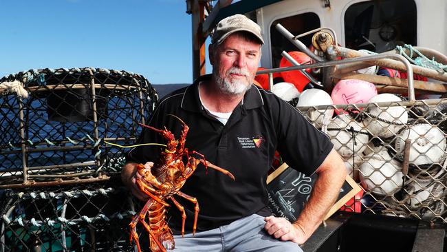 Clive Perryman skipper and owner of boat Minnamurra II will head out to sea for this year’s Christmas catch of crayfish. He will then be hoping to sell many from the wharf at Margate to help his business stay afloat since export internationally became difficult. Picture: Nikki Davis-Jones