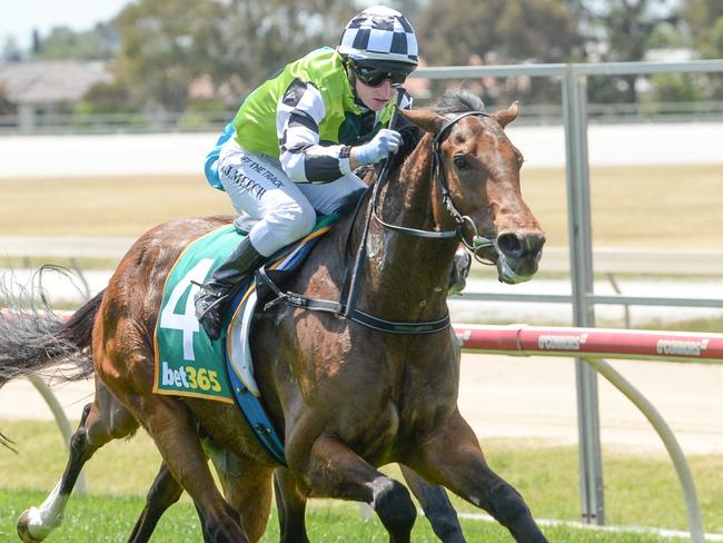 Kings Valley could return to winning form when the Chris Waller-trained import competes at Thursday's Caulfield Heath meeting. Picture: Racing Photos.