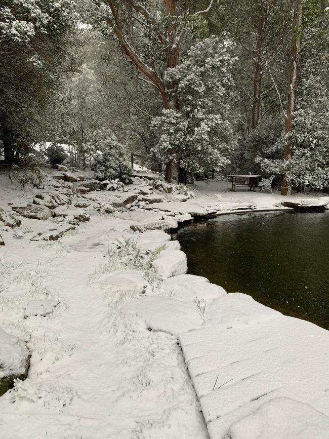 Snow falling thick and fast in Fern Tree, in Hobart, Tasmania on August 4, 2020. Picture: Iain Kelly