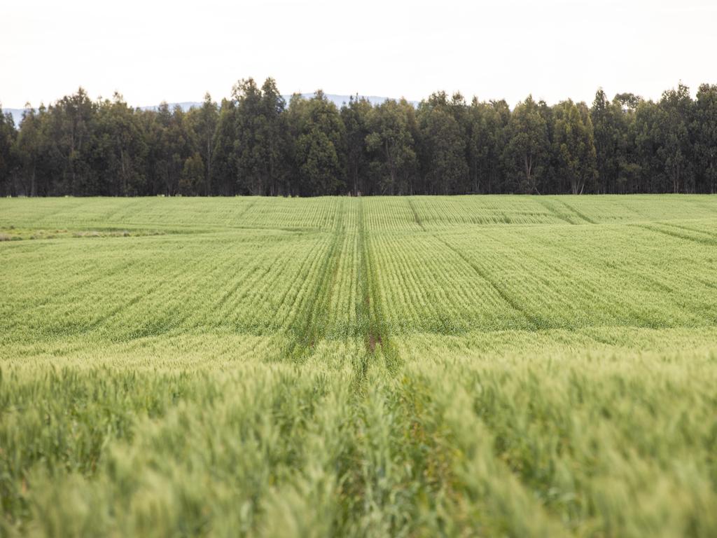 The man stands accused of treating his loved ones like slaves to tend to the farm. Picture: Stock image