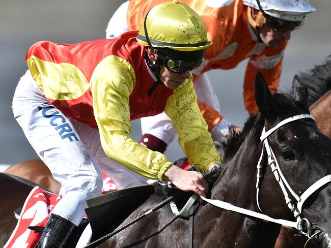 Grand Marshal wins the Moonee Valley Cup from stablemate Who Shot Thebarman. Picture: AAP