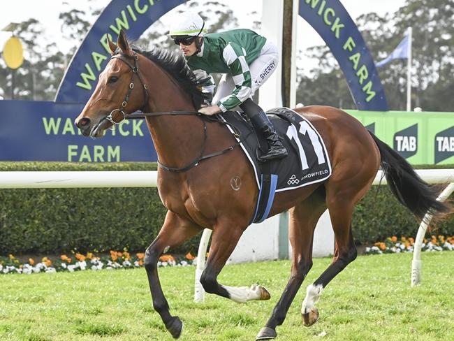 The Annabel Neasham and Rob Archibald-trained Sunshine Law is Ray Thomas's best bet of the day at Scone on Thursday. Picture: Bradley Photos