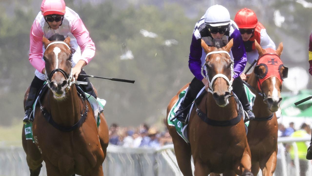 Smirk (white cap) is ready to peak third-up on Saturday. Picture: Getty Images