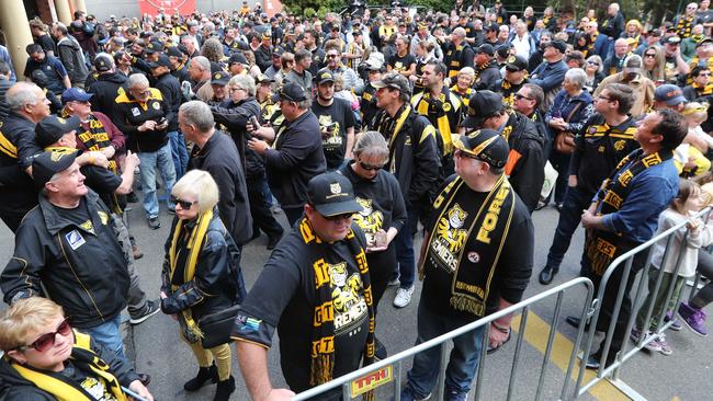 The Tiger army turns out at the brewery. Picture: Tait Schmaal.