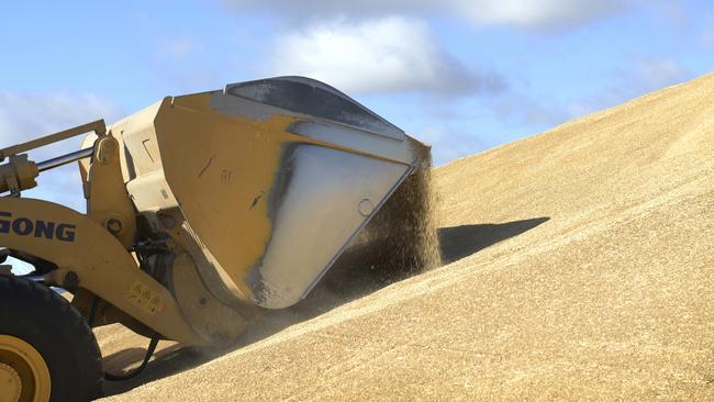 Busy season: The grain industry is flat out rushing to fill ships for export.