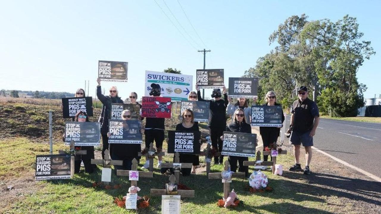 Animal activists, including the Farm Transparency Project and Live Gently, launched a nationwide campaign calling for a ban on pig gassing outside Kingaroy Swickers on Thursday June 15, 2023.