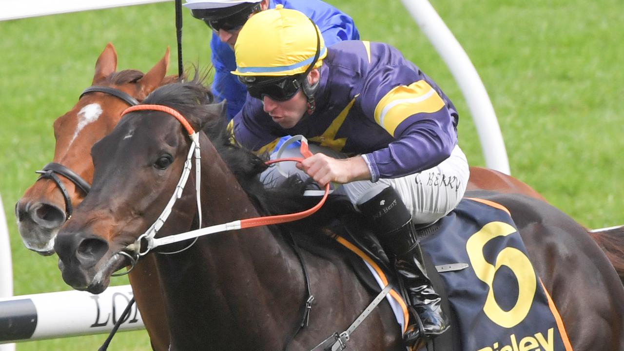 Brutal wins Premiere Stakes 2019: Will The Everest be next? | Daily ...