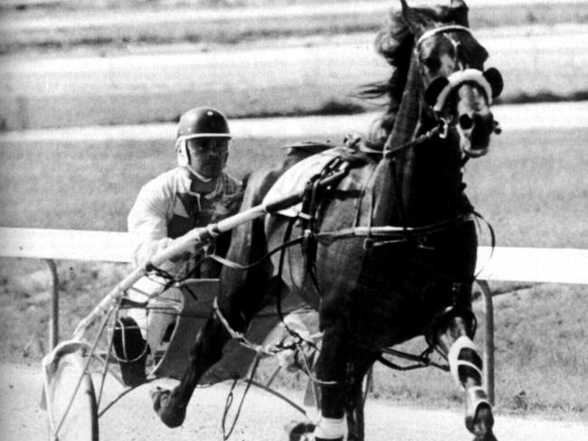 Pacer Popular Alm training prior to winning 1983 Miracle Mile. Picture: Bob Cain