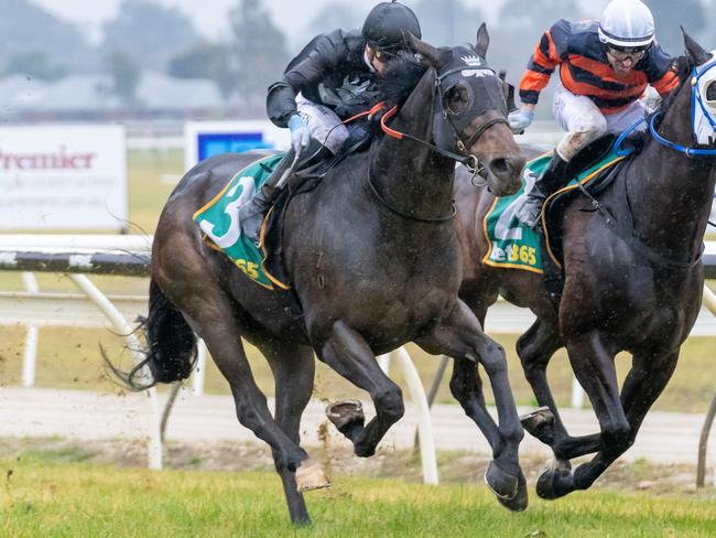 Capper Thirtynine ridden by Mitchell Aitken wins the Carlton Draught 0-58 Handicap at Wodonga Racecourse on June 29, 2024 in Wodonga, Australia. (Photo by Jay Town/Racing Photos via Getty Images)