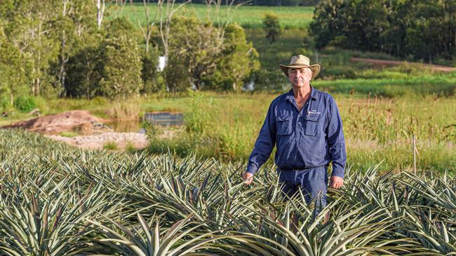 Pineapple grower John Steemson of Littabella Pines.