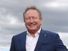 Twiggy’s big call on seabed mining
