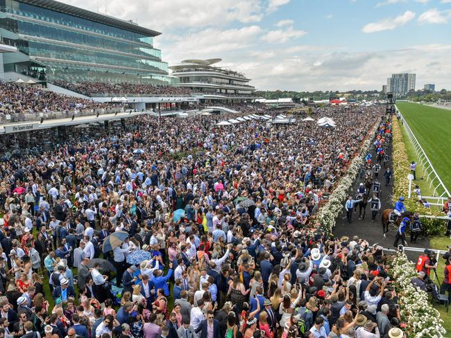 ESCAPE: Horses are led to the track before the running of the Lexus Melbourne Cup at Flemington Racecourse on November 06, 2018 in Flemington, Australia. (John Donegan/Racing Photos via Getty Images). Picture: Getty