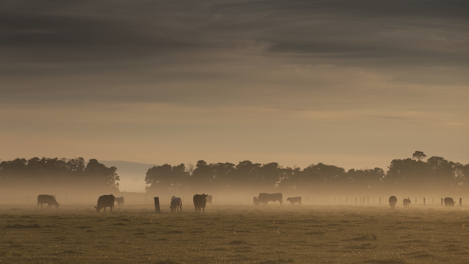 Strong year for agriculture sector