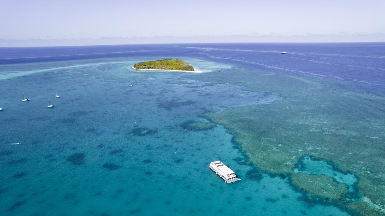 Bundaberg has the beautiful Lady Elliot Island off its coastline.