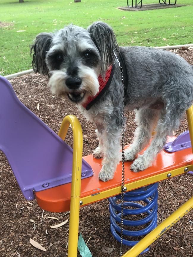 Freda: The eight-year-old has a blast at the park and alwaysmakes heaps of new friends.