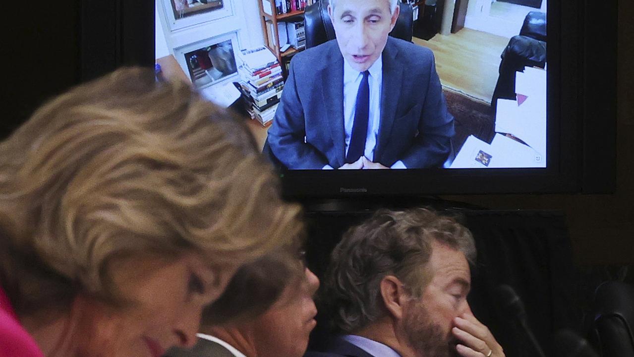 Senators listening to Dr Fauci’s testimony. That is Rand Paul on the right. Picture: Win McNamee/AP