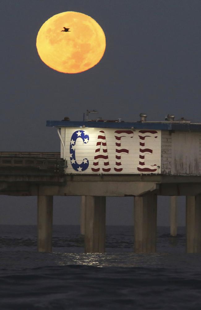 A “supermoon” sets behind Ocean Beach Pier Monday morning, Nov. 14, 2016, while dozens of photographers got up early to watch. Picture: Peggy Peattie/San Diego Union-Tribune via AP