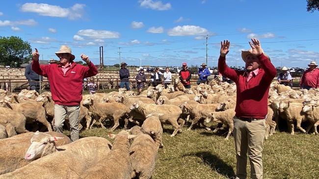 Agents call for bids at the Jerilderie sheep sale, where the top price was $190, compared to a top of $385 last year.