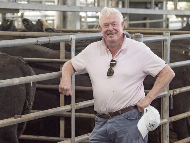 LIVESTOCK: Yea Saleyards. Cattle sale.Yea Saleyards. Cattle sale.PICTURED: John Connellan from Pyalong selling 11.  Yea Saleyards. Cattle sale. Picture: Zoe Phillips