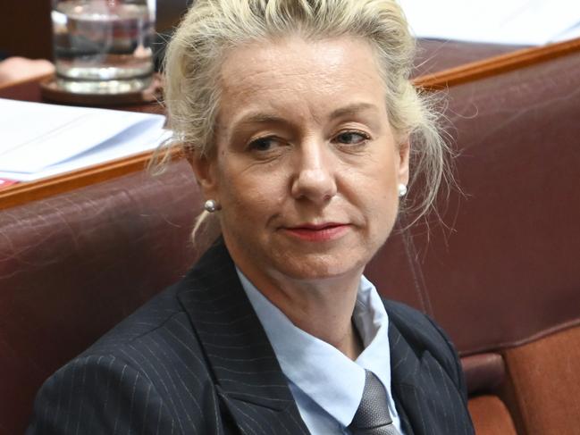 CANBERRA, Australia - NewsWire Photos - October 9, 2024:  Senator Bridget McKenzie during Question Time at Parliament House in Canberra. Picture: NewsWire / Martin Ollman