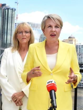 Labor frontbencher Tanya Plibersek said Australia had "left a vacuum" for China to fill in the Pacific.
Picture: NCA NewsWire / John Gass