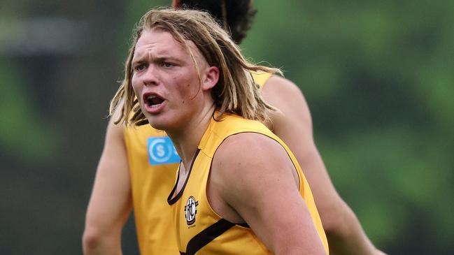 MELBOURNE, NOVEMBER 25, 2024: Hawthorn pre-season training at Waverley Park. Cody Anderson. Picture: Mark Stewart