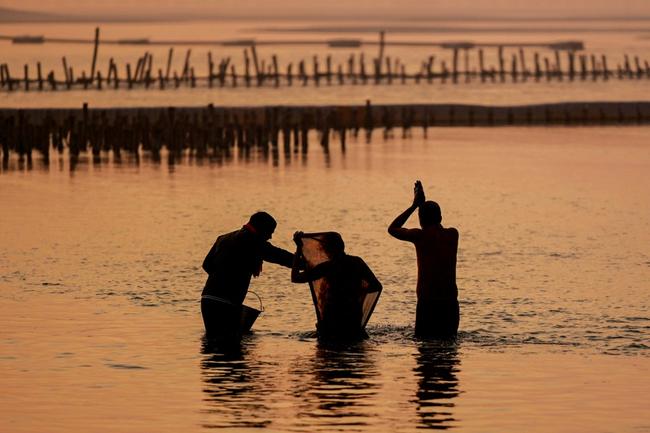 The Kumbh Mela celebrations will culminate on February 26, the final holy bathing day