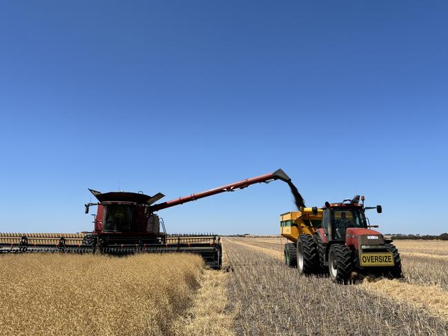 Harvest of canola at Bruce and Heather Talbot's property in Western Australia. Picture: Supplied