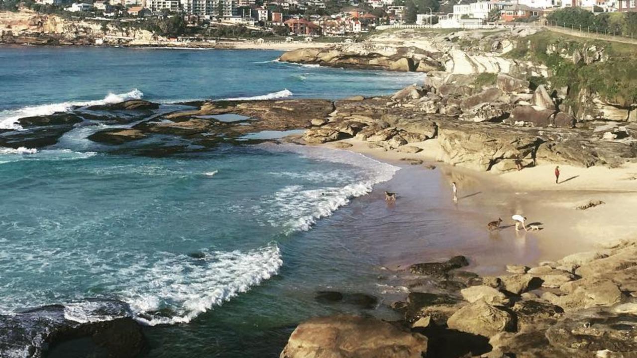 Mackenzies Bay NSW: Secret Sydney beach reappears between Bondi and ...