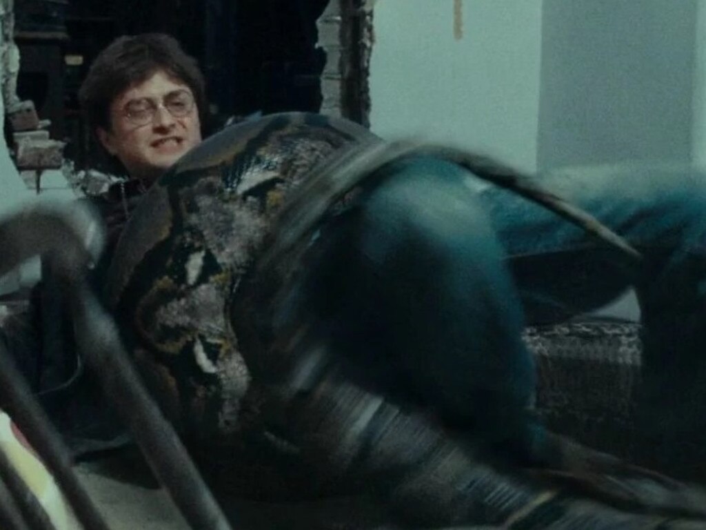 Nagini tried to kill our hero Harry Potter in the original series.