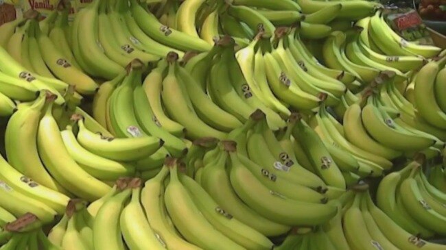 Bananas On Verge Of Extinction Au — Australias Leading News
