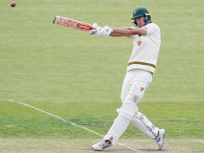 Tasmanian allrounder Beau Webster pulls against Western Australia at Blundstone Arena. Picture: AAP Image/Michael Dodge